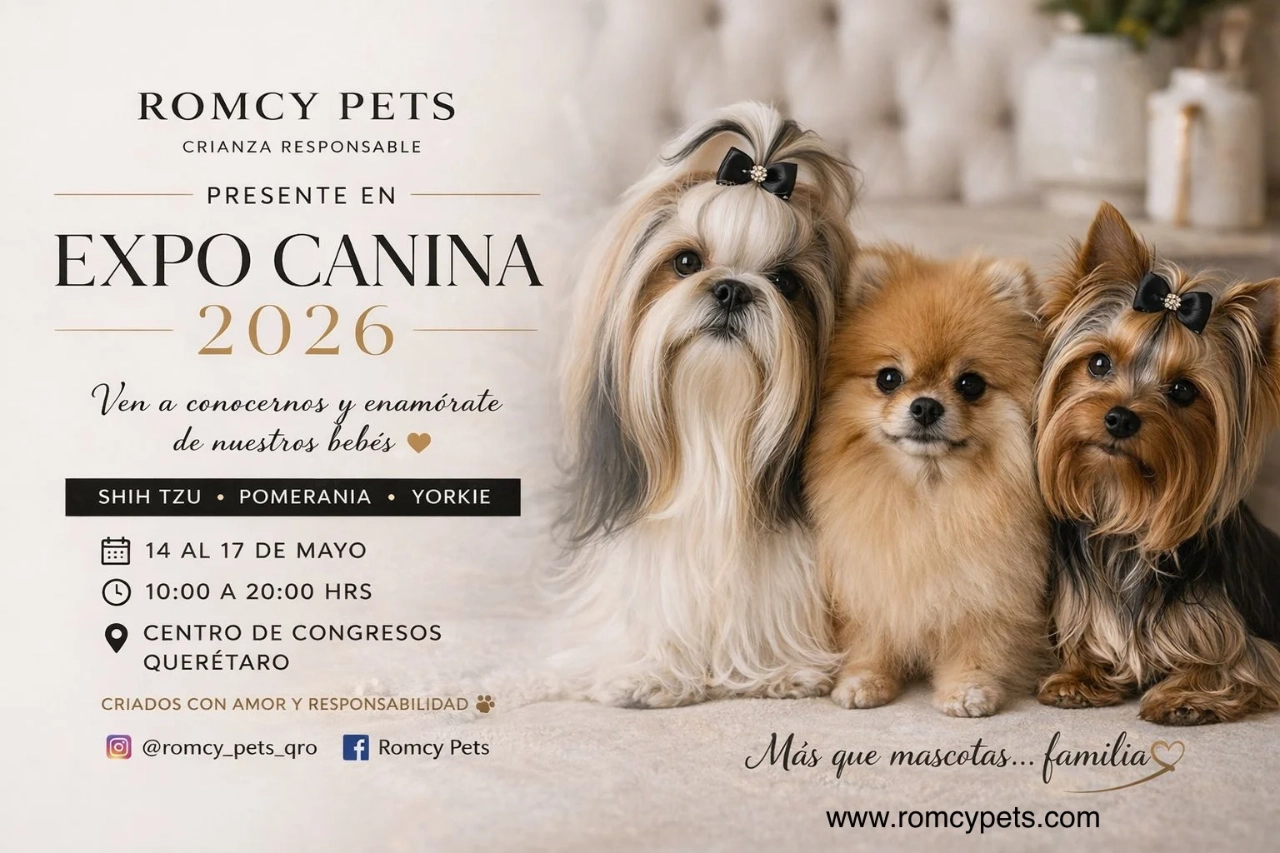 romcy pets en expo canina 2026