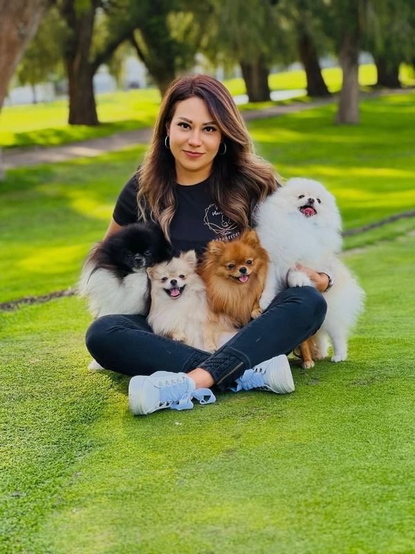 romcy pets Nancy Romero